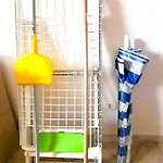 Ibis Badesi