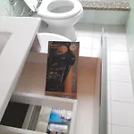 Ibis Badesi