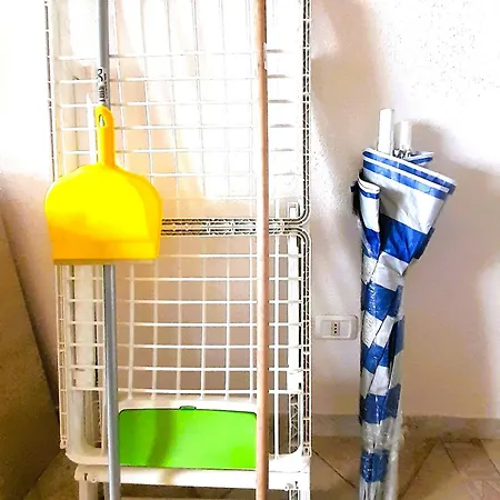 Ibis Badesi